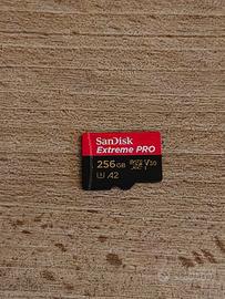 Micro SD 256GB SanDisk Extreme pro