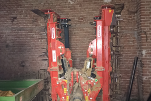 Roter pieghevole( Maschio)