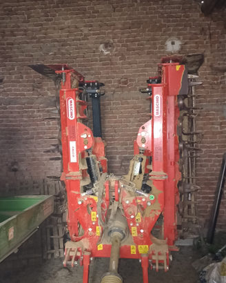 Roter pieghevole( Maschio)