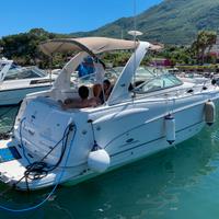 Barca Chaparral Signature 290
