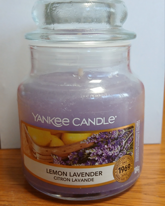 Candela Yankee