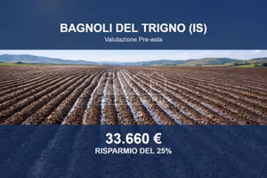 Immobile in asta di 52058 m² a Bagnoli del Trigno