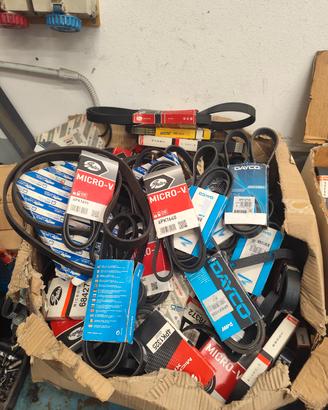 stock cinghie servizi auto ricambi