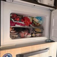 FRIGORIFERO DA INCASSO