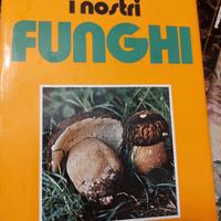 Funghi Enciclopedia