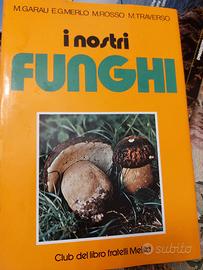 Funghi Enciclopedia