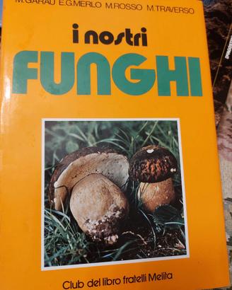 Funghi Enciclopedia