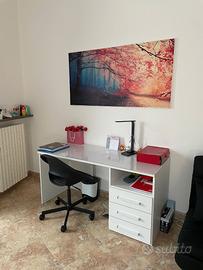 Stanza SOLO per Universitaria