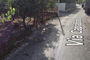 Terreno Agricolo in zona strategica