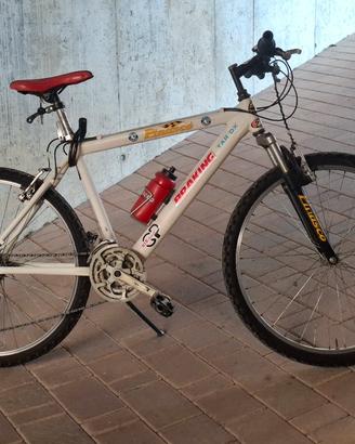 Mountain bike