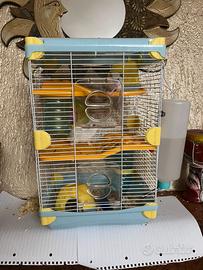 Gabbia con coppia di criceti