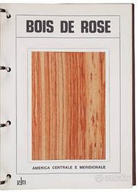 Palutan monografie dei legni 4 volumi