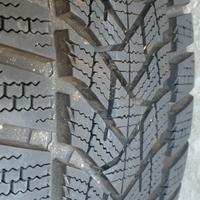 Pneumatici invernali 195/55R16 87H M+S