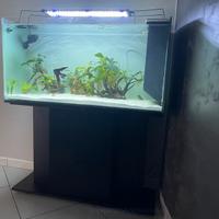 Acquario dolce 100x40x50h