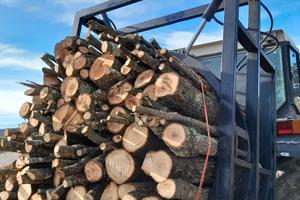 Fasciatrice per legna