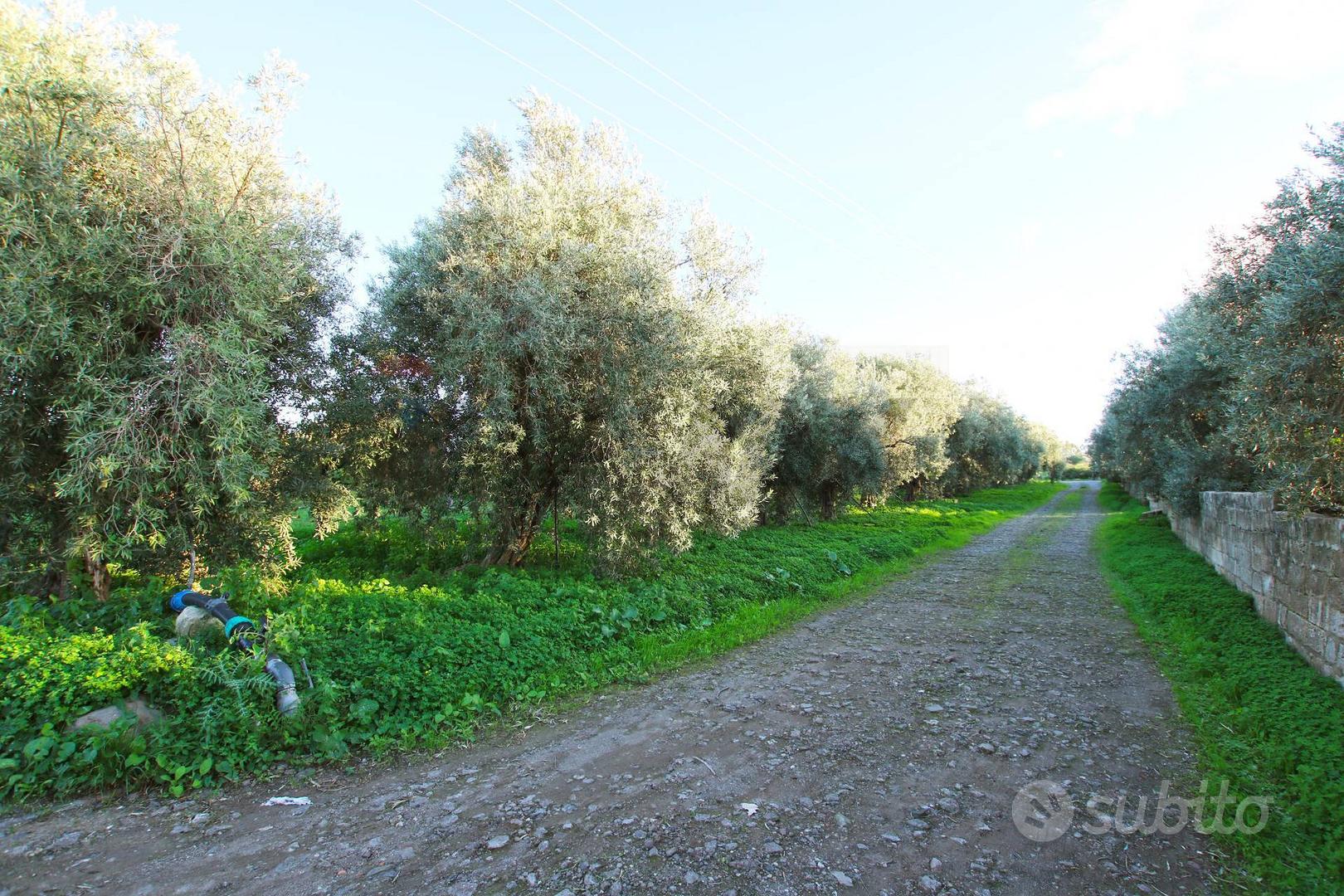 Terreno - Augusta - Altro