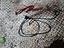 Immagine 2
