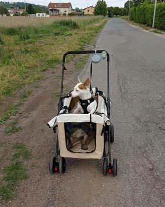 Trasportino per cani