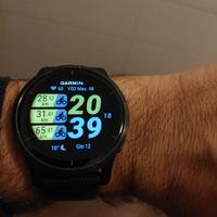 Garmin Venu 2 music 