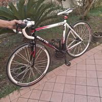 Bici da corsa Bottecchia