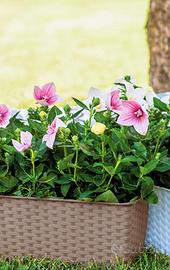 Set 11 Vasi - Balconette Stefanplast 50cm