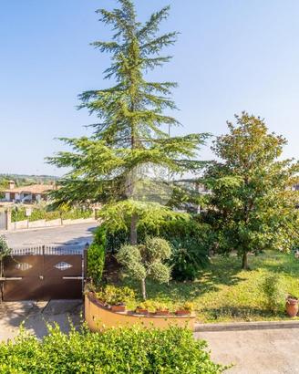 3 LOCALI A MONTEROTONDO