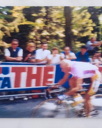 foto pantani