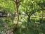 Immagine 29