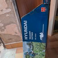 Tagliasiepi