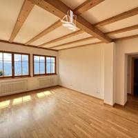 Luminosi trilocali a San Genesio - posizione tra