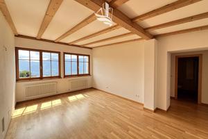 Luminosi trilocali a San Genesio - posizione tra