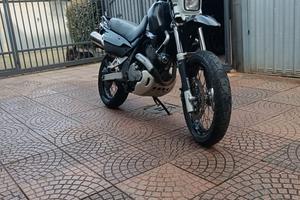  FREEWIND PERSONALIZZATA