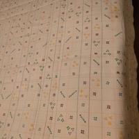 Piumone matrimoniale 