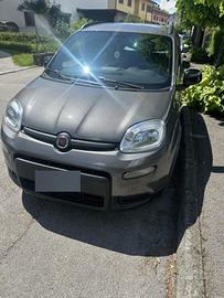 Fiat Panda 1.2 GPL del 2022