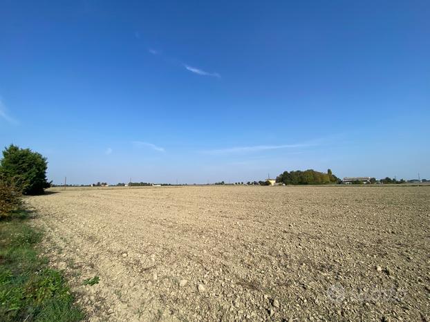 Argenta - terreno agricolo seminativo