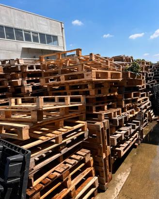 Pallet in legno