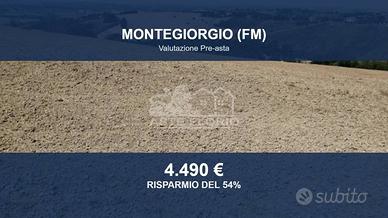 Immobile in asta di 27880 m² a Montegiorgio