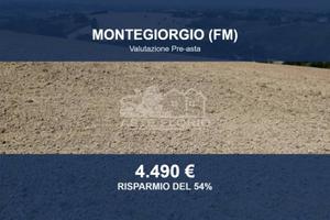 Immobile in asta di 27880 m² a Montegiorgio