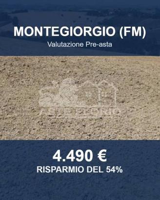 Immobile in asta di 27880 m² a Montegiorgio