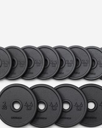 Dischi Ghisa Decathlon Domyos 28mmSet 16 kg totali