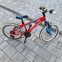 bicicletta da bambino Torpado Tigre