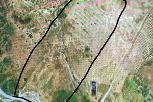 Terreno bergamotti con pozzo