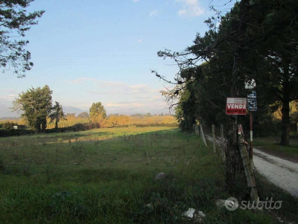 Terreno di 3500 m² a Cellole - Vista 5