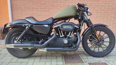 Sportster 883 iron