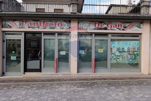 Locale Commerciale - Borgo Valbelluna