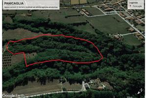 Terreno Agricolo Panoramico - 4,5 h nel Mugello