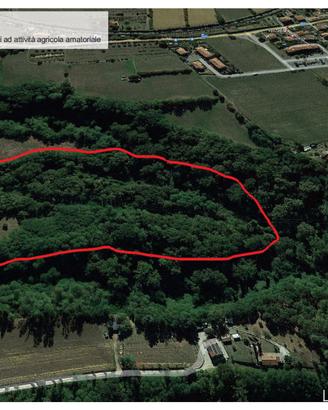 Terreno Agricolo Panoramico - 4,5 h nel Mugello