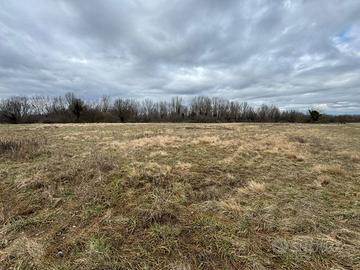 Terreno Agricolo - Savogna d'Isonzo