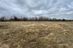 Terreno Agricolo - Savogna d'Isonzo