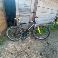 bicicletta mtb